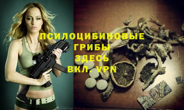 дурь Михайловка
